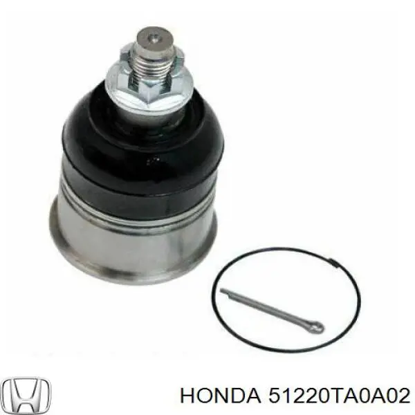 Шаровая опора переднего нижнего HONDA ACCORD CU 08-13/ACURA TSX 09-