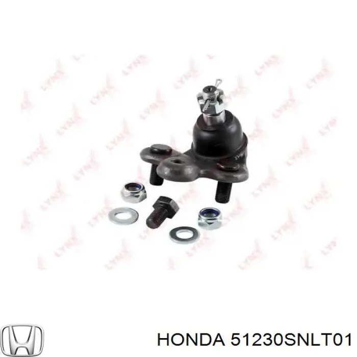 Нижняя шаровая опора 51230SNLT01 Honda