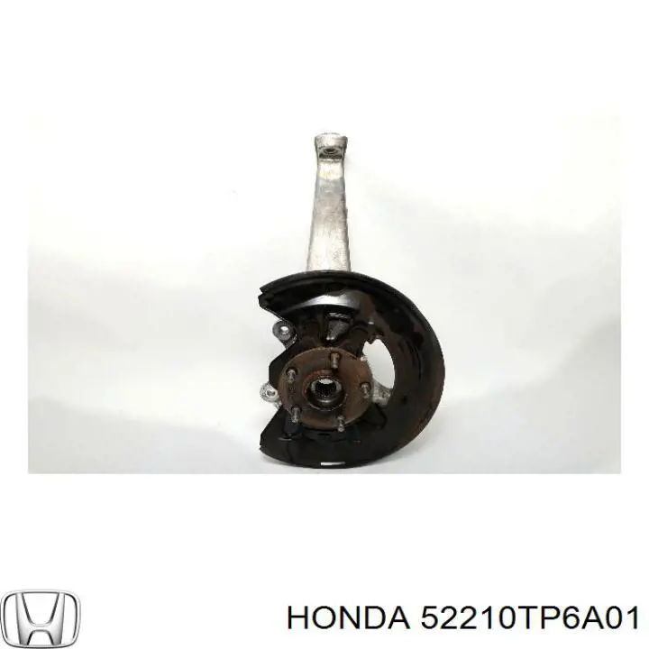 Цапфа поворотная правая Honda 52210TP6A01 цена, от 101.35 USD