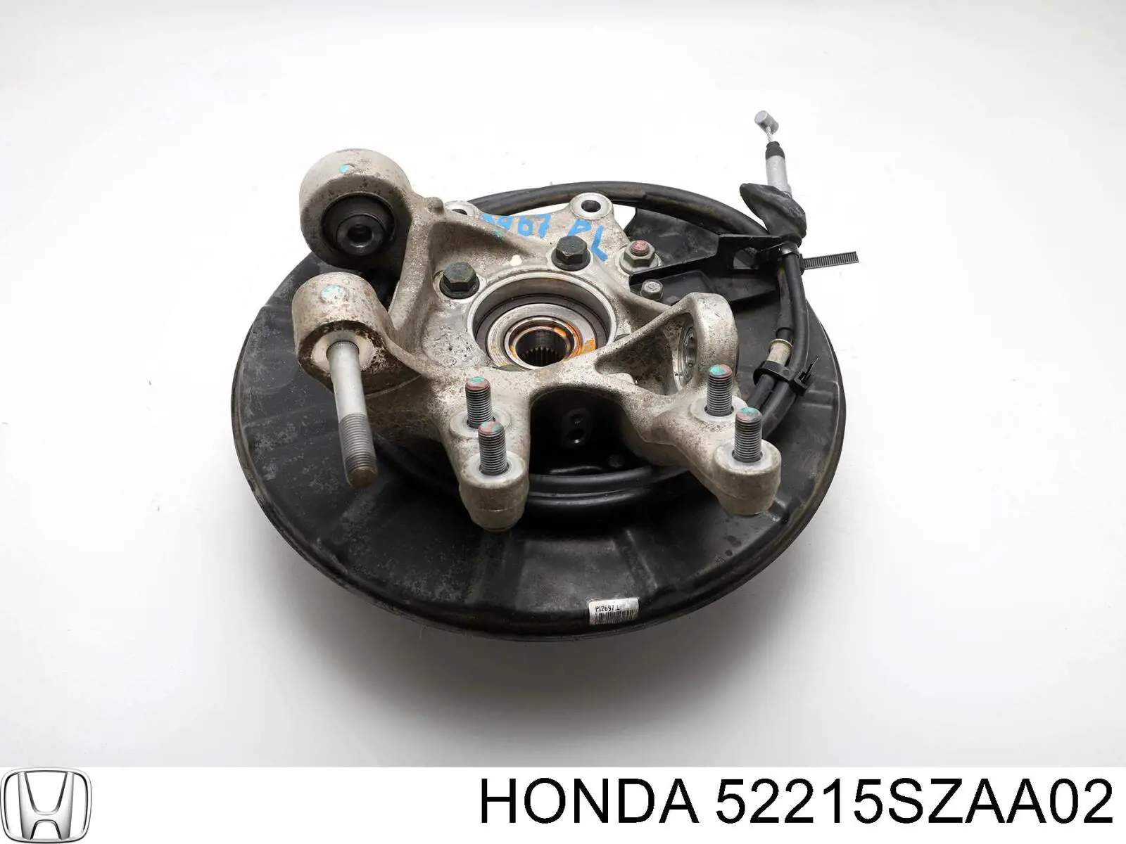 Цапфа - поворотный кулак задний, левый Honda 52215SZAA02 цена, от 14.53 USD