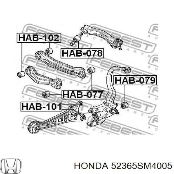 Suspensión, brazo oscilante trasero inferior 52365SM4005 Honda