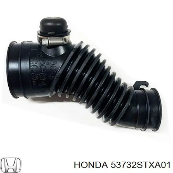 53732STXA01 Honda 