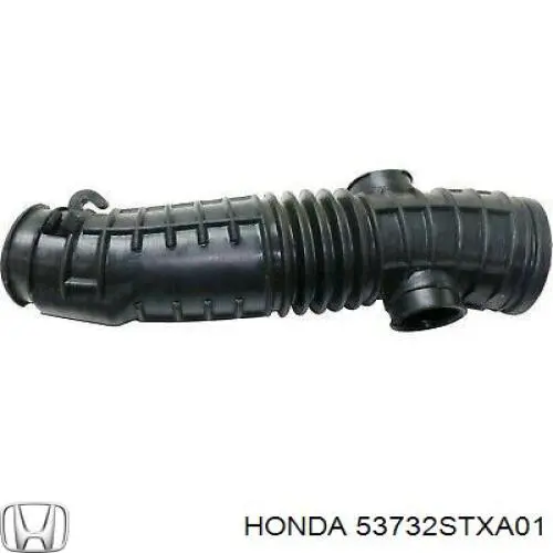 Купить 53732STXA01 Honda 