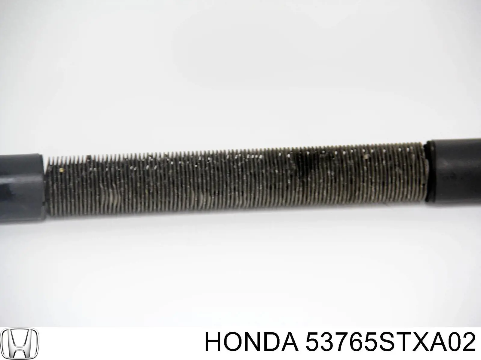 53765STXA02 Honda 