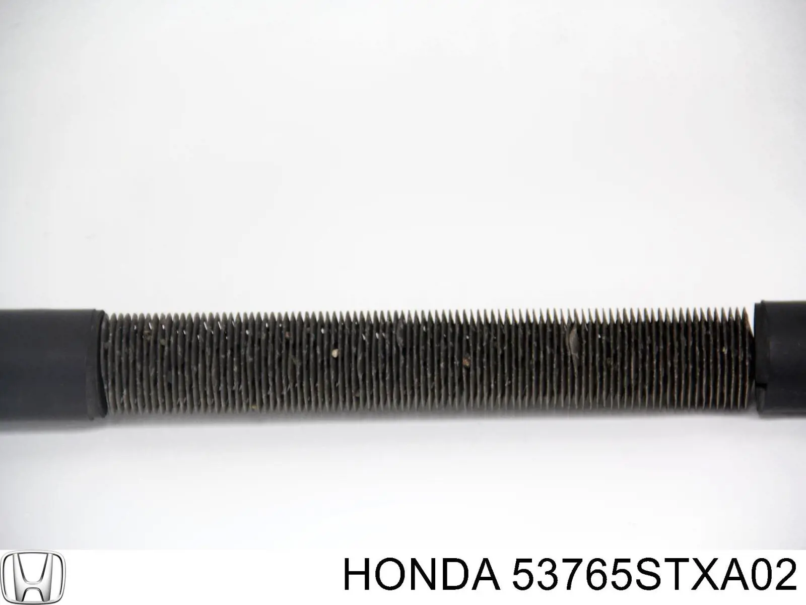  Honda 53765STXA02 цена, от 63.42 USD
