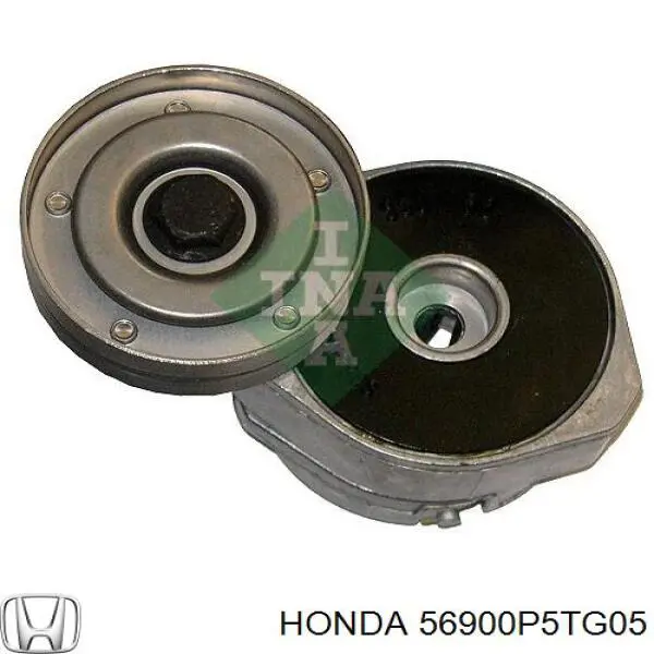 Tensor de correa, correa poli V 56900P5TG05 Honda