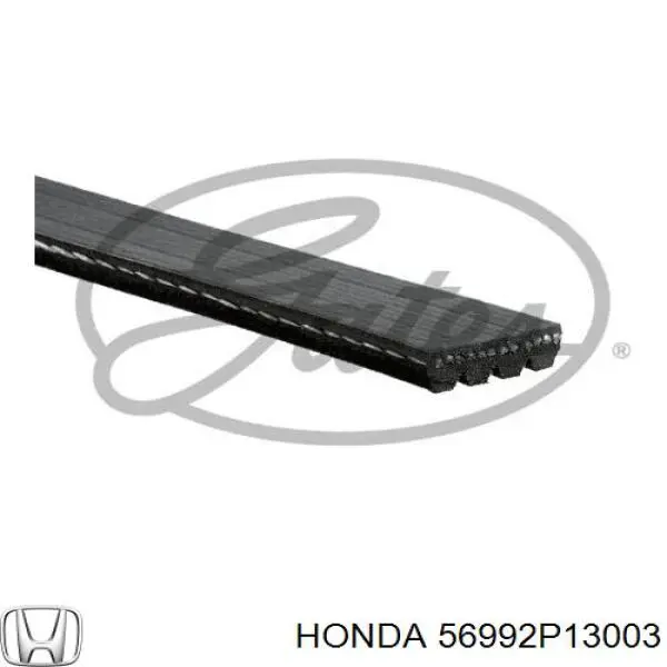 Ремень генератора 56992P13003 Honda