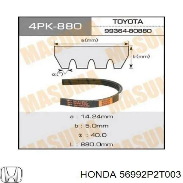56992P2T003 Honda Поликлиновый ремень