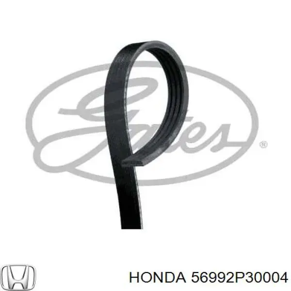 Клиновый ремень Honda 56992P30004 цена, от 6.21 USD