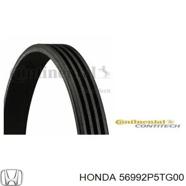 Купить 56992P5TG00 Honda Ремень генератора