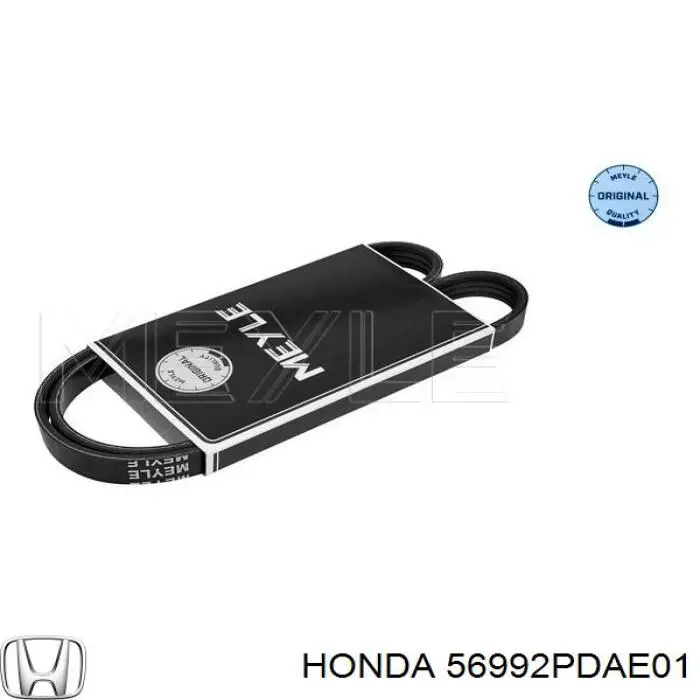 Купить 56992PDAE01 Honda Ремень генератора