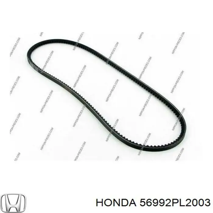 Correa trapezoidal 56992PL2003 Honda