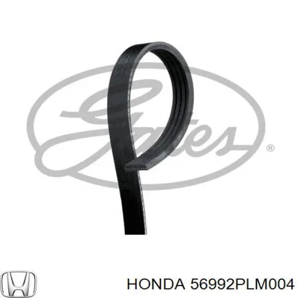 Купить 56992PLM004 Honda Ремень генератора