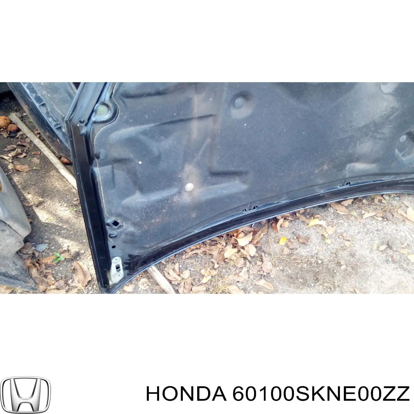 Капот Honda 60100SKNE00ZZ цена, от 56.50 USD