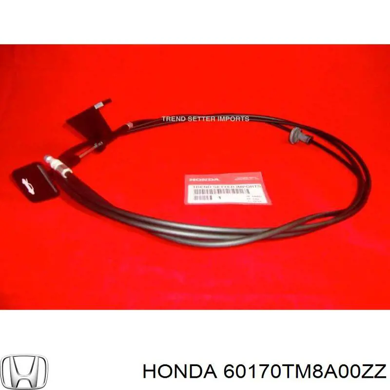 60170TM8A00ZZ Honda Шарнир капота левый