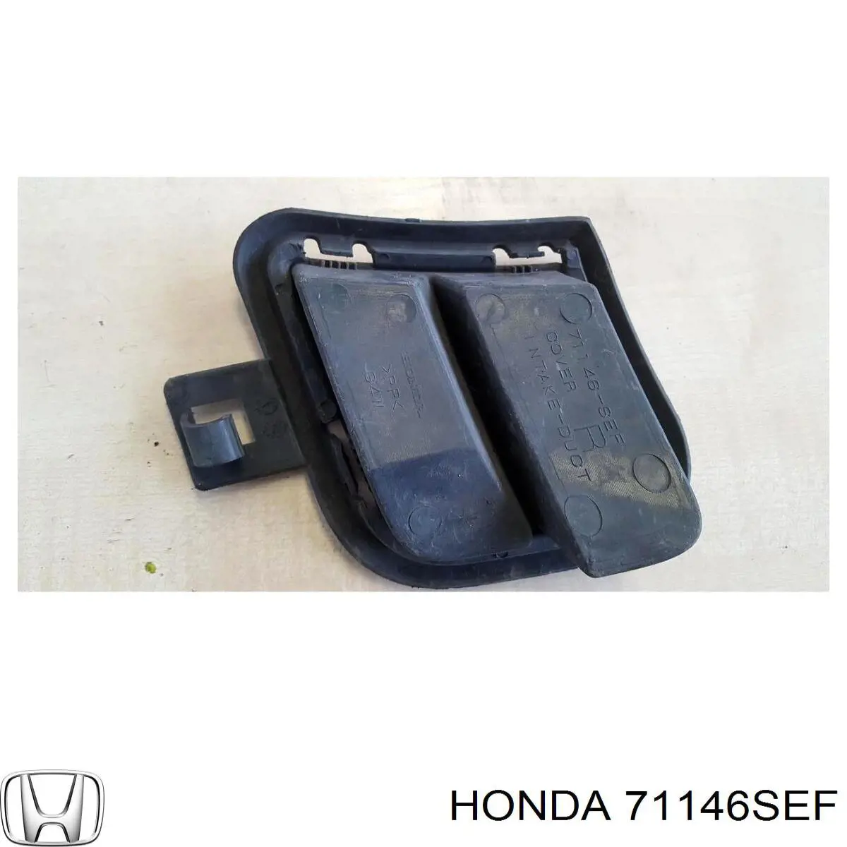 71146SEF Honda 