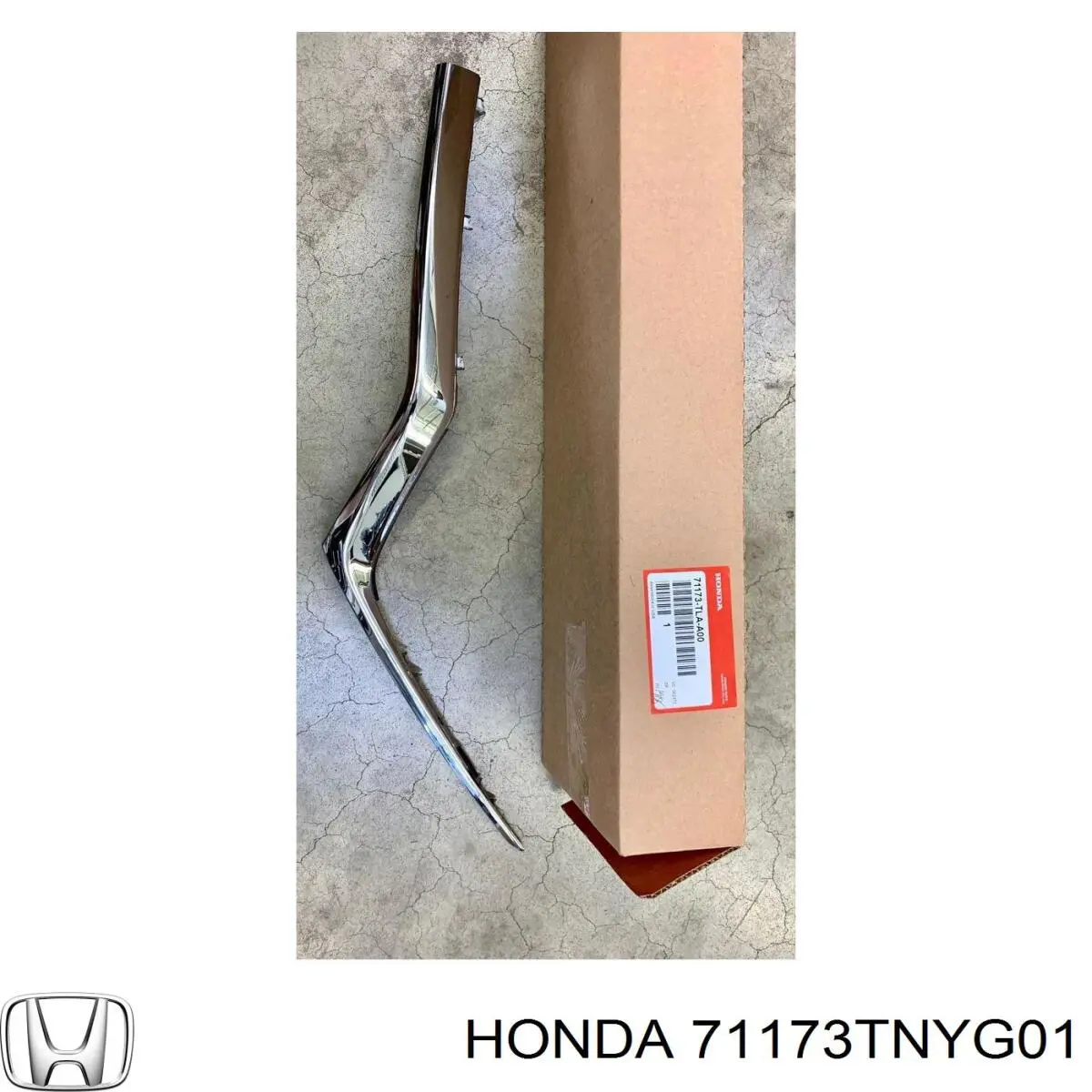 71173TNYG01 Honda 