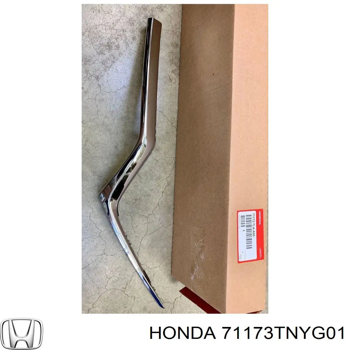 71173TNYG01 Honda 