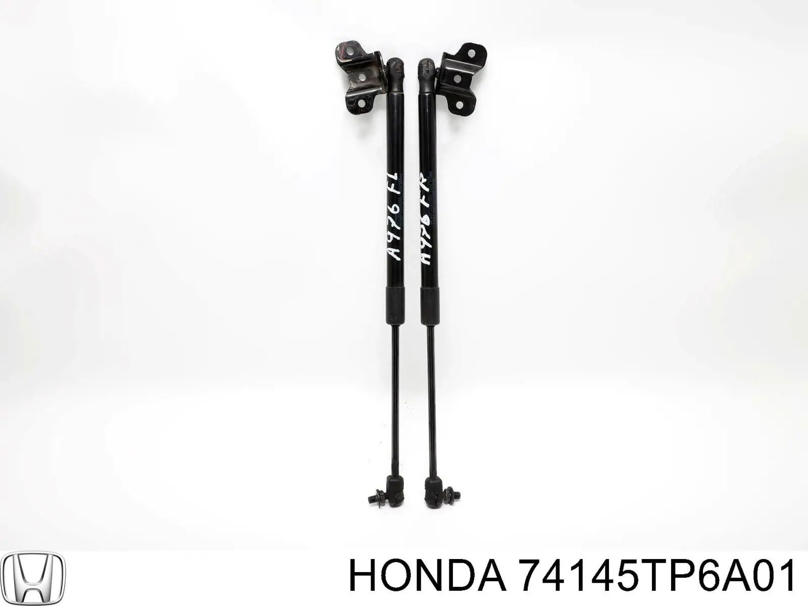  Honda 74145TP6A01 цена, от 28.77 USD