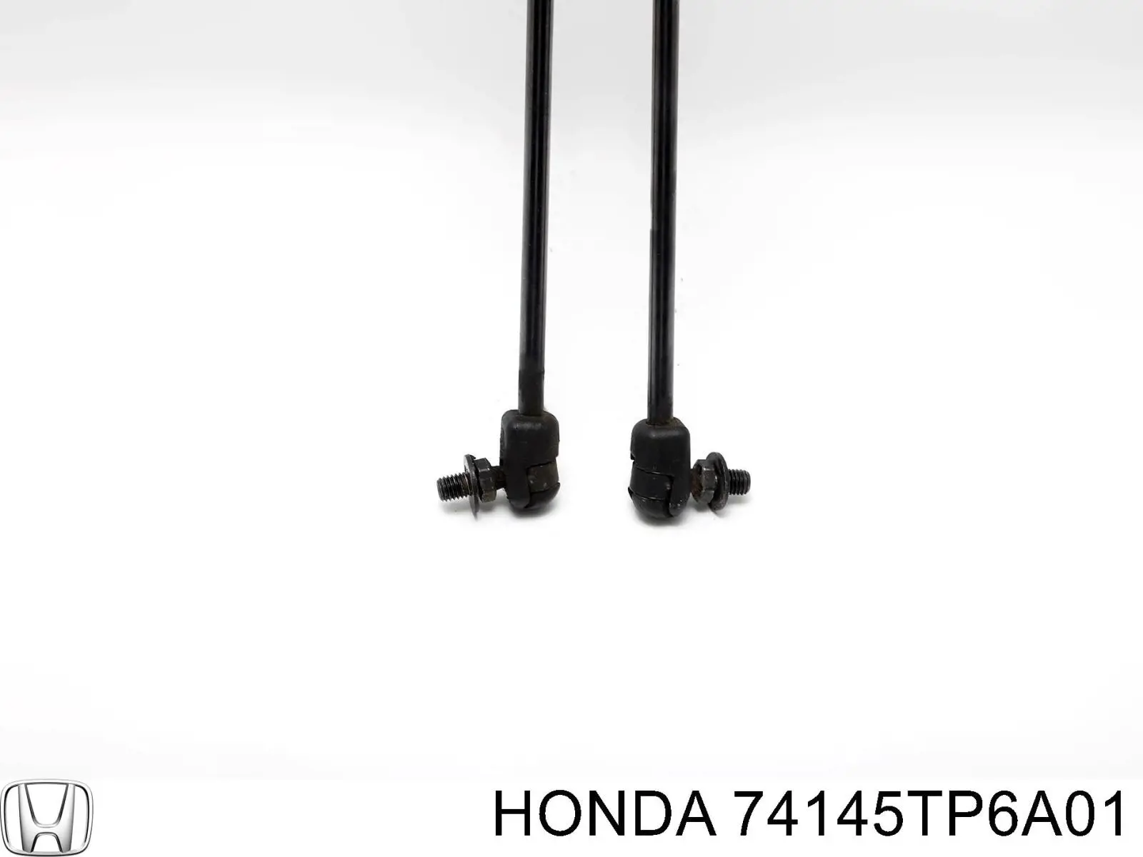  74145TP6A01 Honda