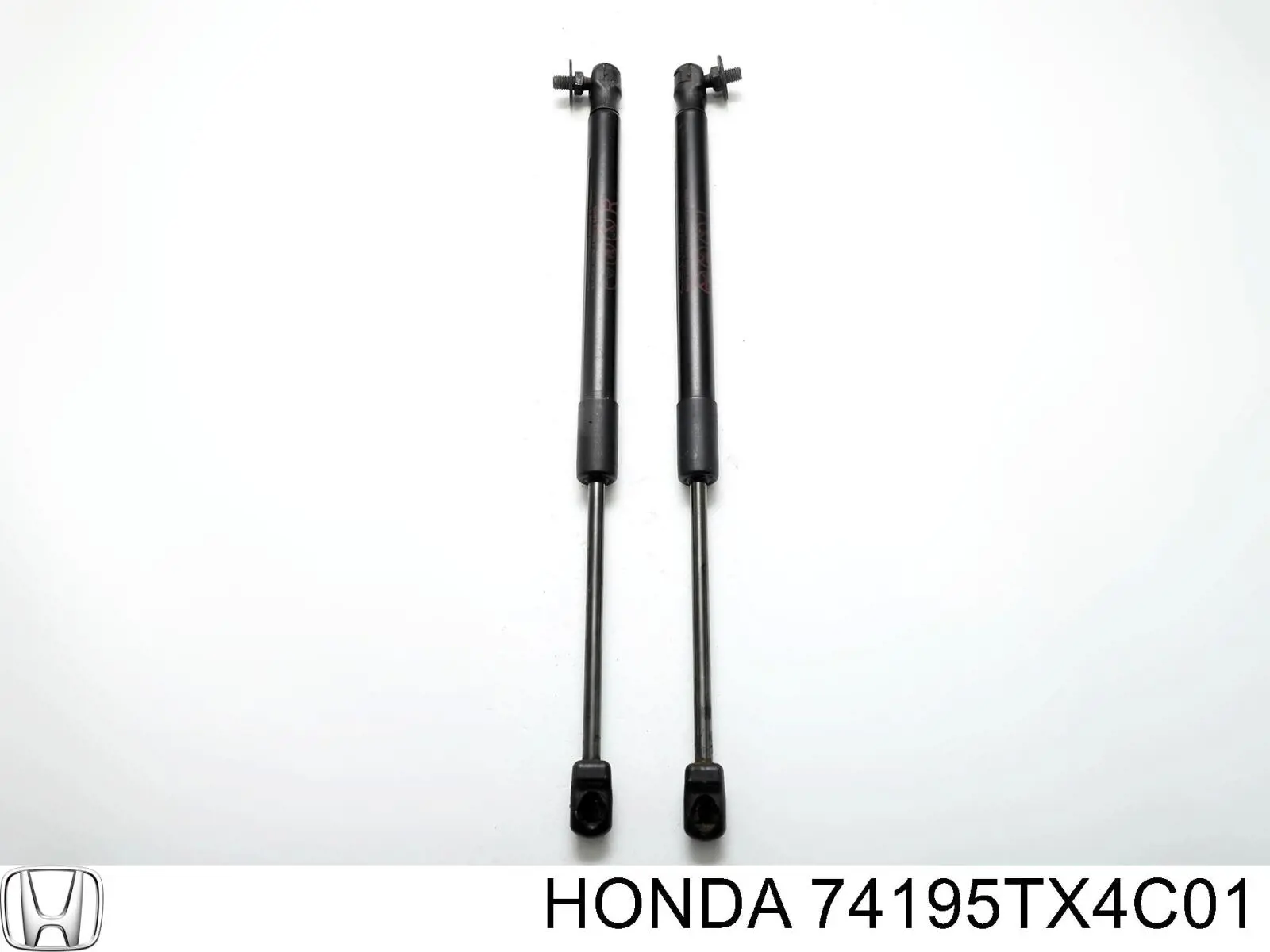  74195TX4C01 Honda