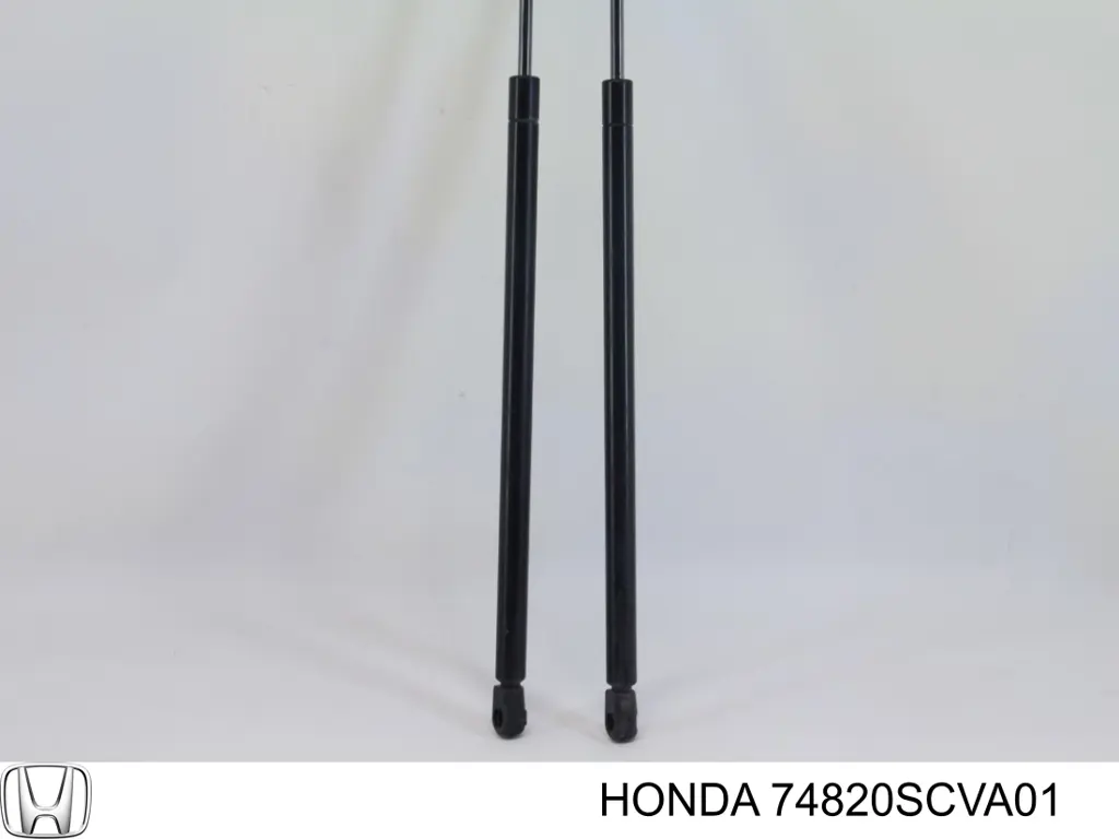 Амортизатор задней двери Honda 74820SCVA01 цена, от 116.38 USD