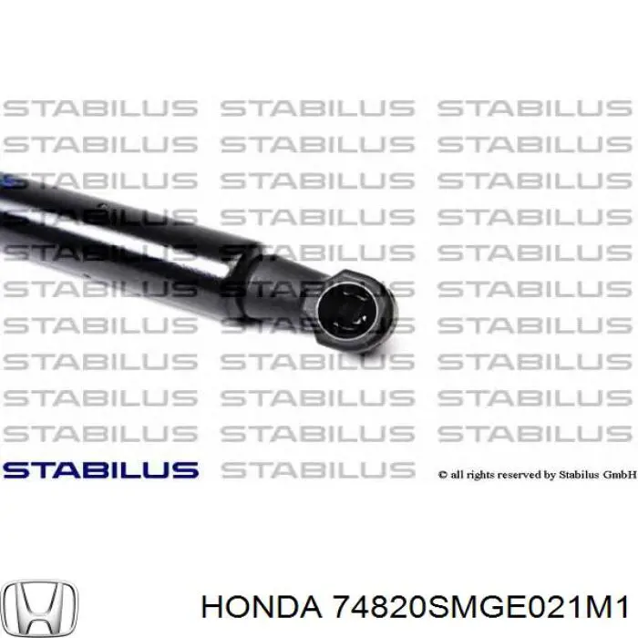 Купить 74820SMGE021M1 Honda Амортизатор двери багажника