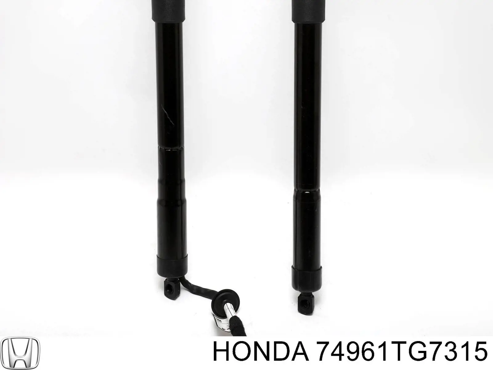 Амортизатор задней двери NTY AEHD026 цена, от 114.02 USD