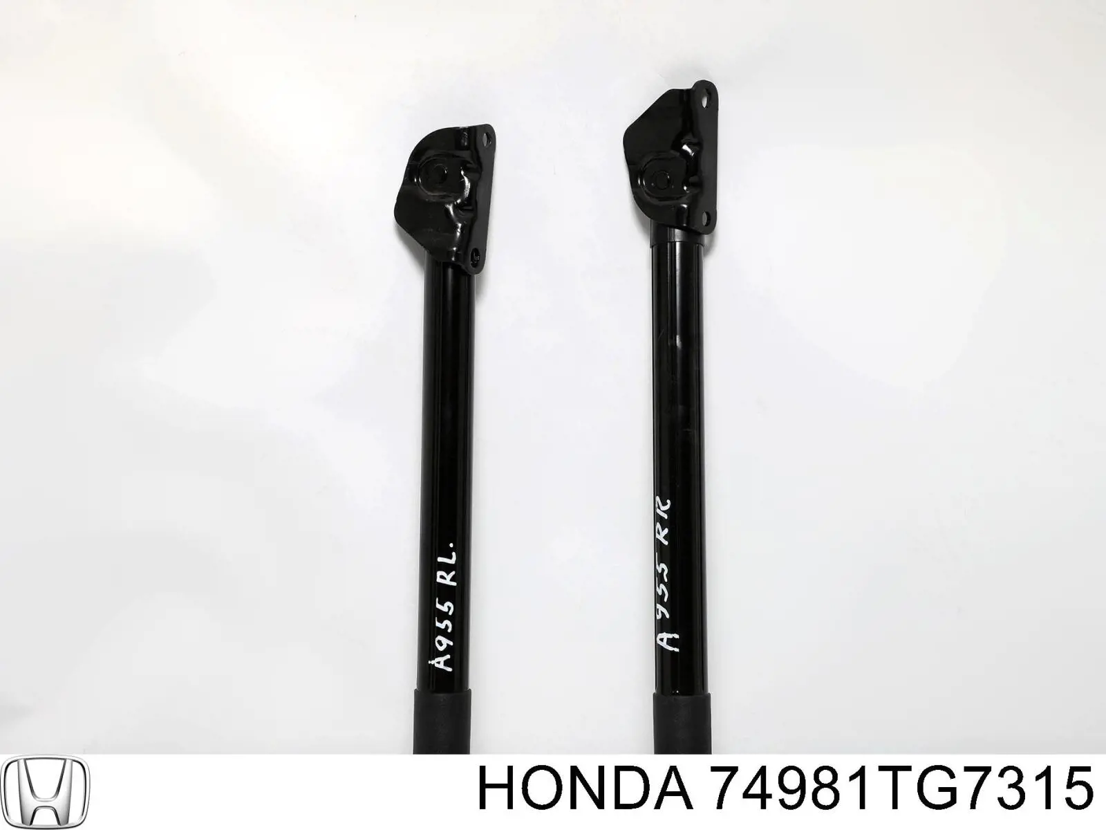 Амортизатор задней двери NTY AEHD027 цена, от 32.89 USD