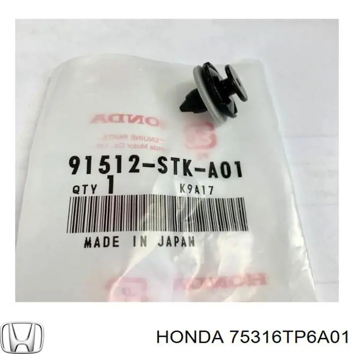 75316TP6A01 Honda 