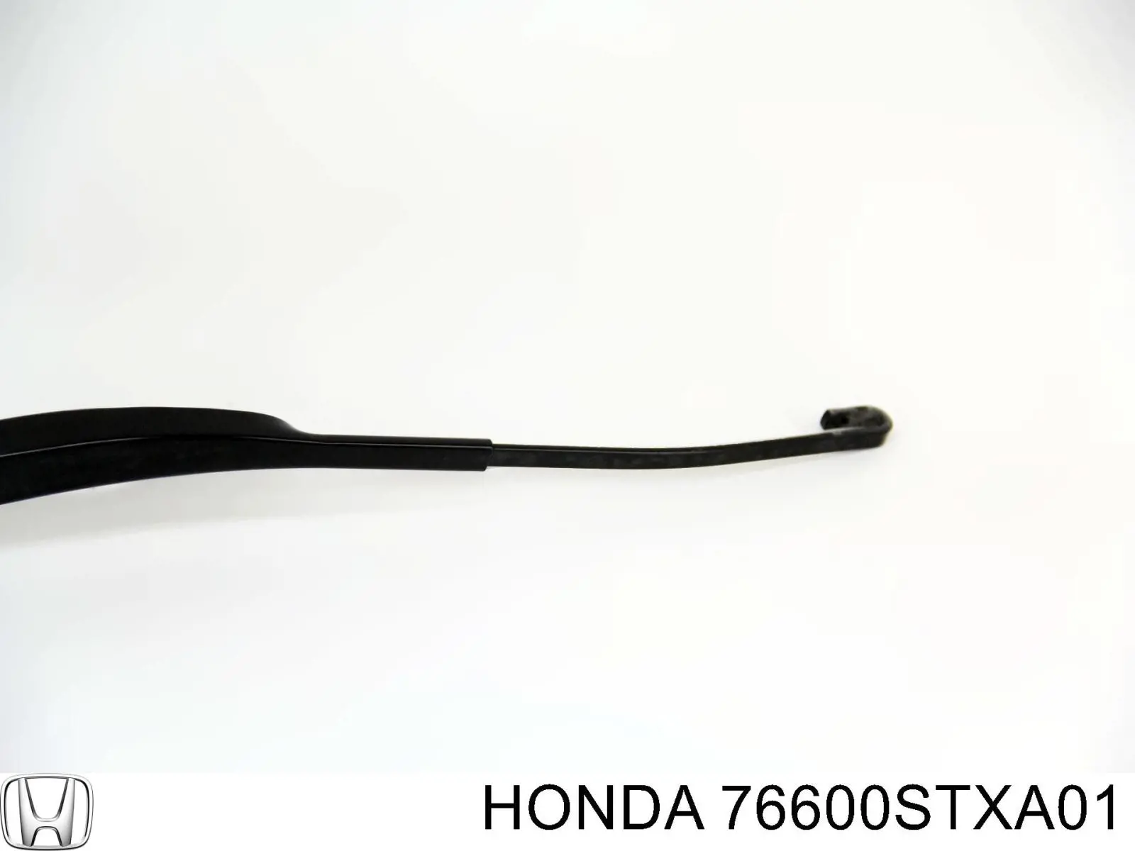 76600STXA01 Honda 