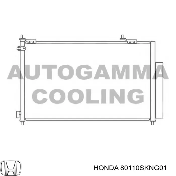 80110SKNG01 Honda Конденсатор