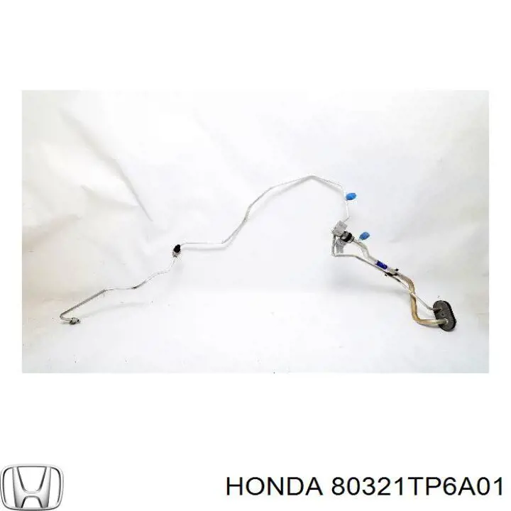  80321TP6A01 Honda