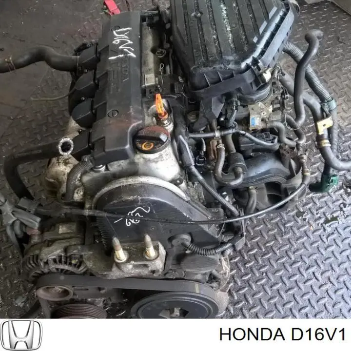 Купить D16V1 Honda Двигатель голый