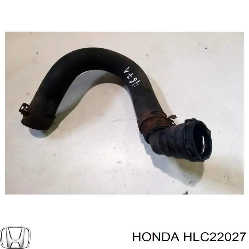 Купить HLC22027 Honda 