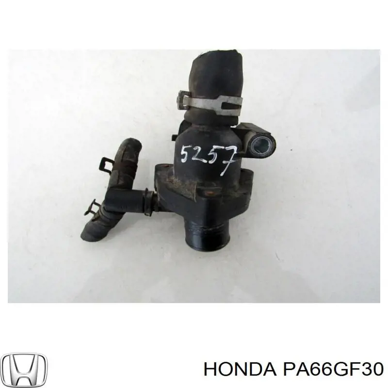 Хомут пластиковый универсальный Peugeot/Citroen PA66GF30 цена, от 12.65 USD