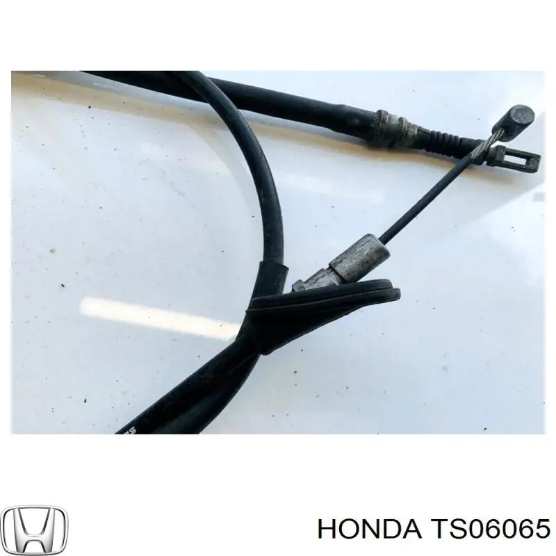  TS06065 Honda