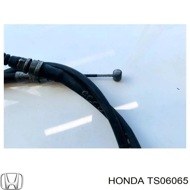  Honda TS06065