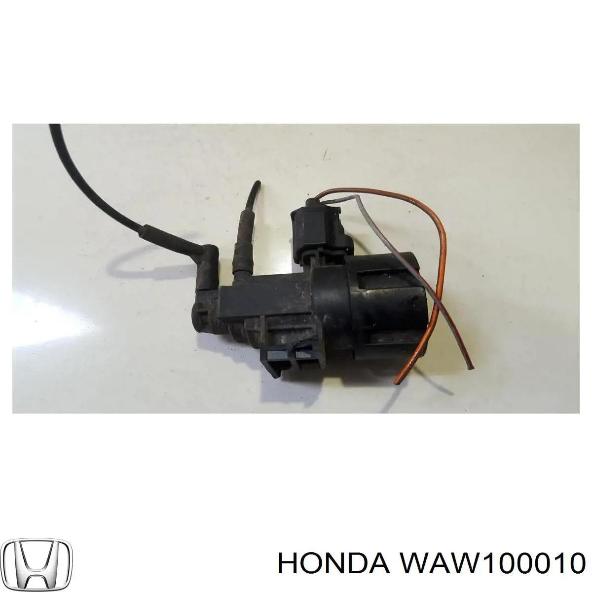  WAW100010 Honda