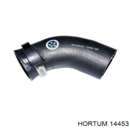 14453 Hortum шланг (патрубок интеркуллера верхний левый)