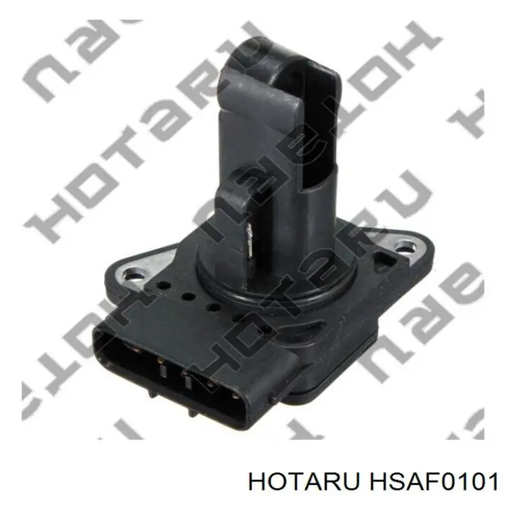 HSAF-0101 Hotaru дмрв