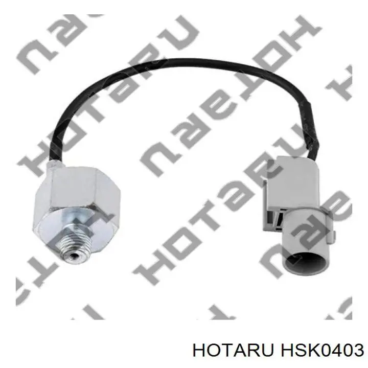  Sensor de detonação Mitsubishi Outlander II XL SUV (CWW) (2005 - 2012) II XL