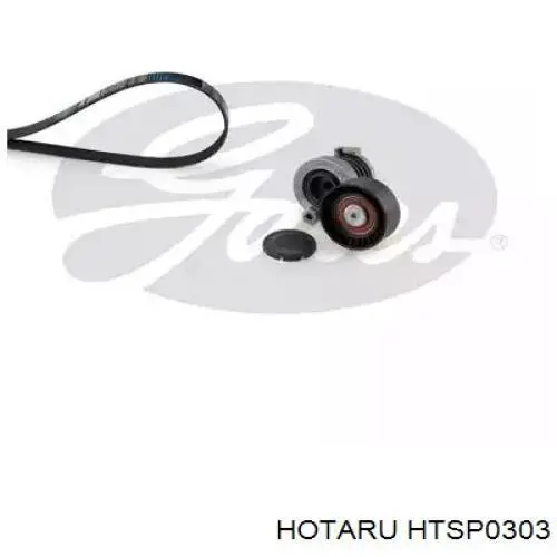 Насос гидравлики Hotaru HTSP0303 цена, от 94.67 USD