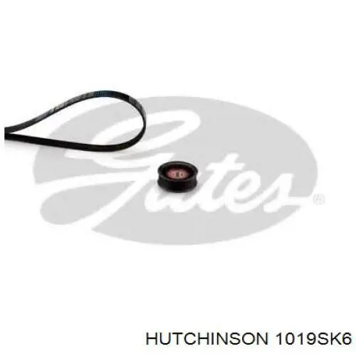 Ремень кондиционера Hutchinson 1019SK6