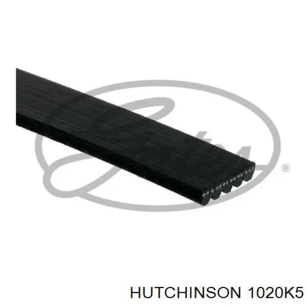 Клиновый ремень Hutchinson 1020K5 цена, от 7.28 USD