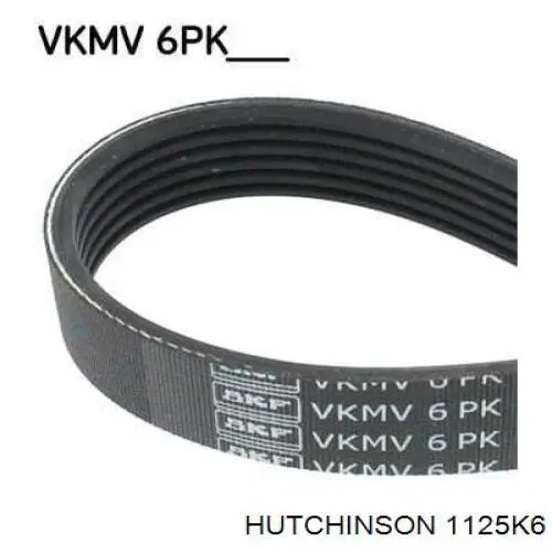Клиновый ремень Hutchinson 1125K6 цена, от 8.02 USD