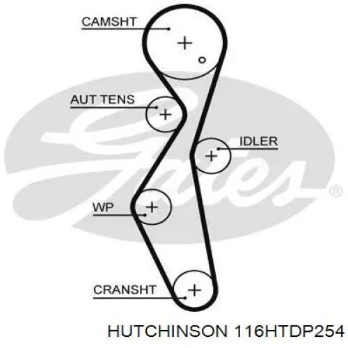 Зубчатый ремень Hutchinson 116HTDP254 цена, от 23.25 USD