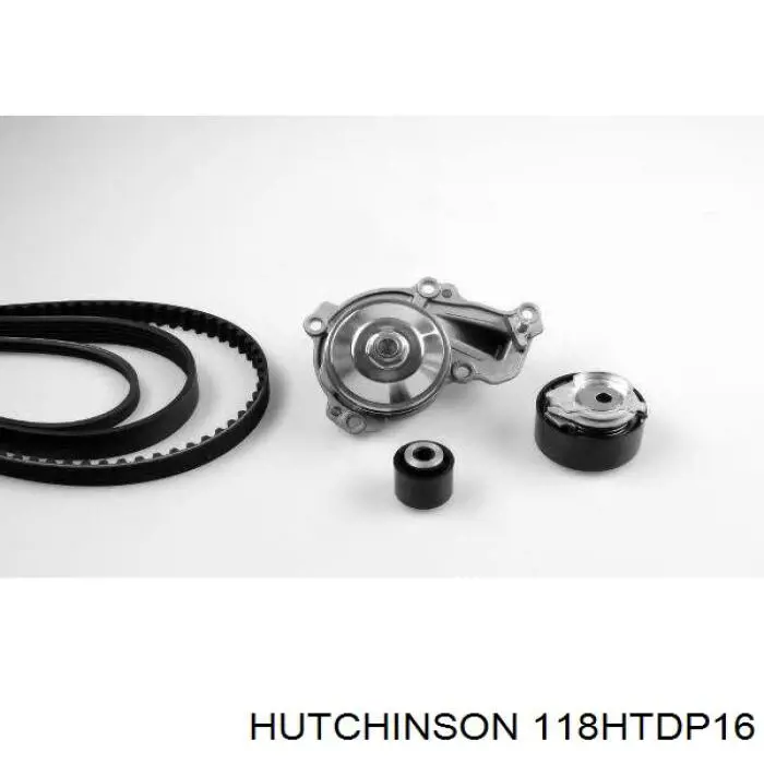 Correa de distribución 118HTDP16 Hutchinson