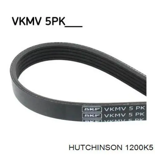 Клиновый ремень Hutchinson 1200K5 цена, от 7.21 USD