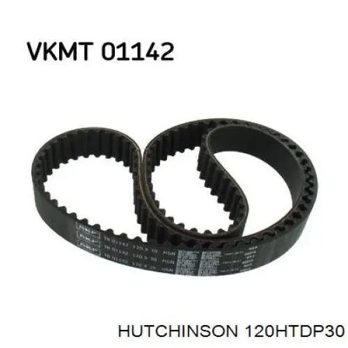 Compre 120HTDP30 Hutchinson Correia do mecanismo de distribuição de gás